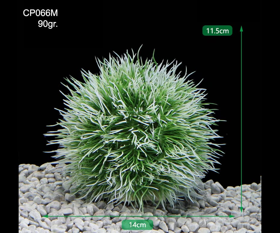 cpo66m.jpg
